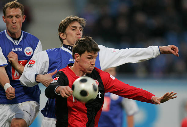 声明明确指 声明明确指